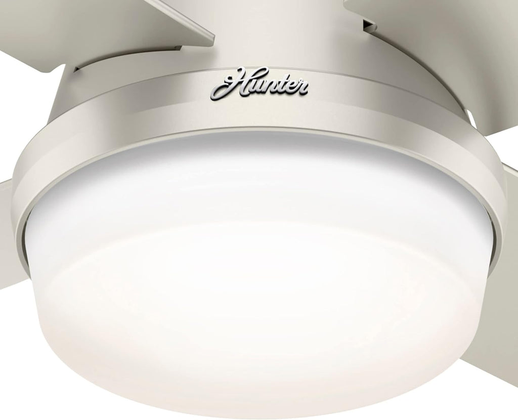 Hunter Fan Company Dempsey Low Profile Indoor / Outdoor Ceiling Fan with LED Light and Remote Control, 44